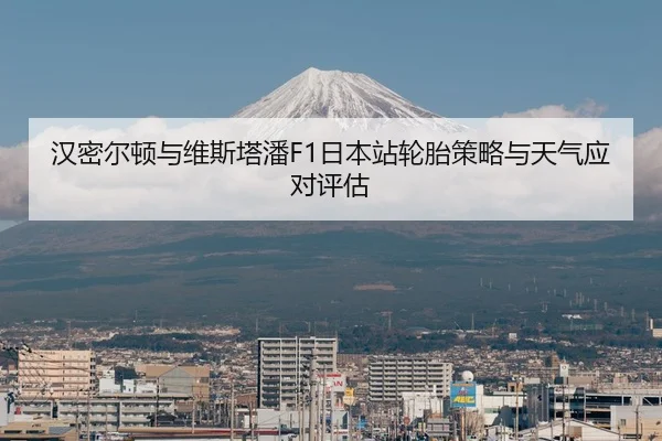 汉密尔顿与维斯塔潘F1日本站轮胎策略与天气应对评估